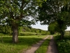 guer-112_paysage-ferme-campagne