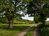 guer-112_paysage-ferme-campagne