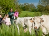 guer-37_visite-champ-des-vaches